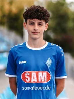 Avatar Bild für Domenik Pervorfi