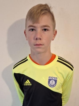 Avatar Bild für Nico Strobelt