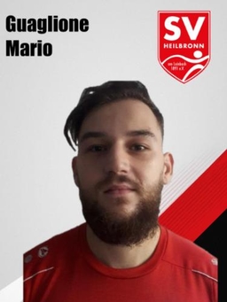Avatar Bild für Mario Guaglione