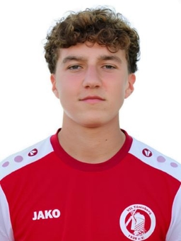 Avatar Bild für Giuliano Heinz Salvatore Sanfilippo