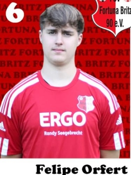 Avatar Bild für Felipe Orfert