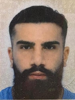 Avatar Bild für Sherwin Shahamat