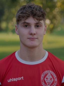 Avatar Bild für Louis Losardo