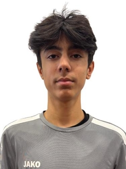 Avatar Bild für Mehmet Shenaraj