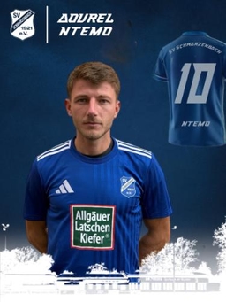 Avatar Bild für Aourel Ntemo