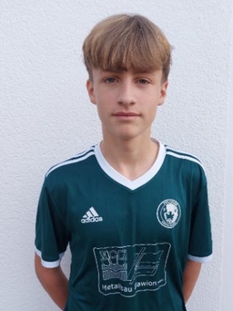 Avatar Bild für Emil Seidel