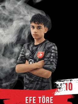 Avatar Bild für Efe Töre