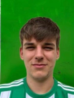 Avatar Bild für Niklas Zöllich
