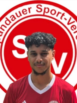 Avatar Bild für Mohamad Chehadi