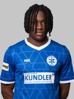 Avatar Bild für Alex Raoul Leyi