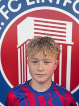 Avatar Bild für Nick Dammertz