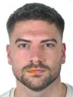 Avatar Bild für Maximilian Rast