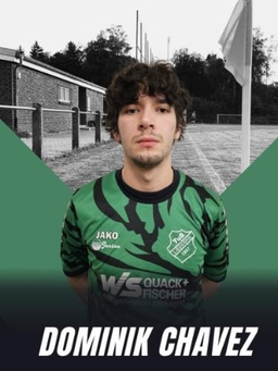 Avatar Bild für Dominik Jansen Chavez