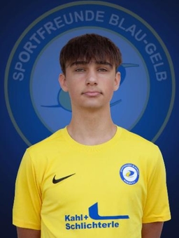 Avatar Bild für Raphael Will