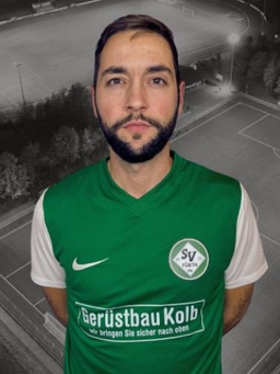 Avatar Bild für Adis Dolicanin