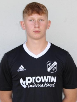 Avatar Bild für Hannes Nikolaus Lutz