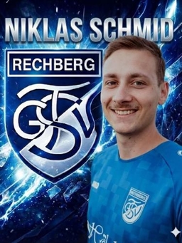 Avatar Bild für Niklas Schmid