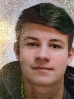 Avatar Bild für Ardolind Sfishta