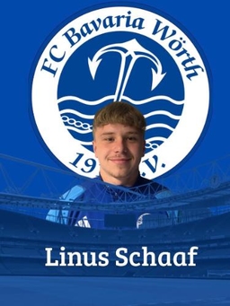 Avatar Bild für Linus Heinrich Tudor Schaaf