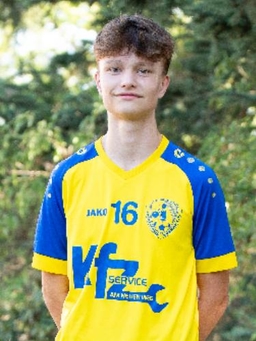 Avatar Bild für Luis Zimmermann