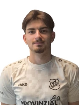 Avatar Bild für Dario Selvarolo