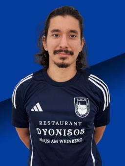 Avatar Bild für Josef Stefan Gutting