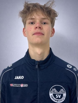 Avatar Bild für Ilja Vishek