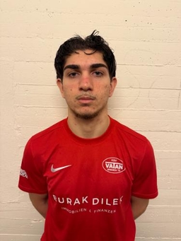 Avatar Bild für Senid Sulejman