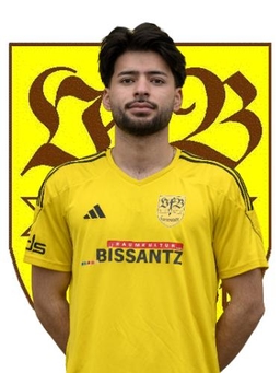 Avatar Bild für Behzad Rezai