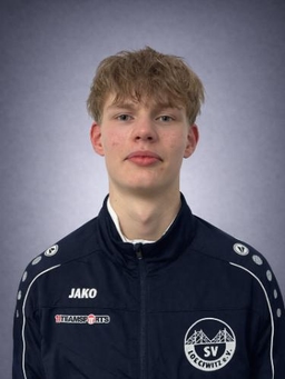 Avatar Bild für Ilja Vishek