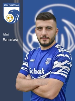 Avatar Bild für Fehmi Marmullakaj