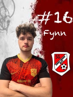 Avatar Bild für Fynn-Niklas Thies
