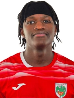 Avatar Bild für Lionel Gitau