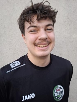 Avatar Bild für Lewis Felipe Schröder