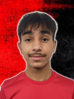 Avatar Bild für Kasim Ahmetovic