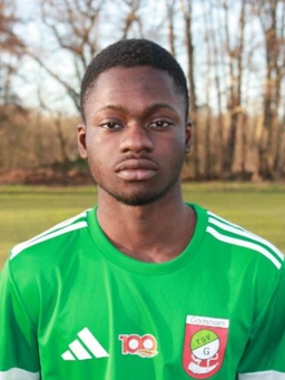 Avatar Bild für Nana Abrokwah Sarpong