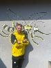 Avatar Bild