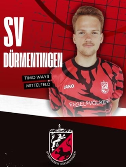 Avatar Bild für Timo Wayß