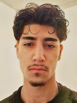 Avatar Bild für Farzin Heravi