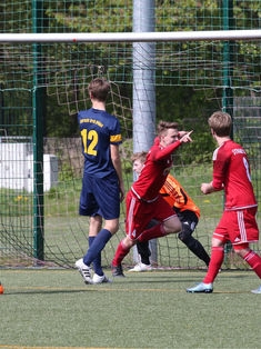 Avatar Bild