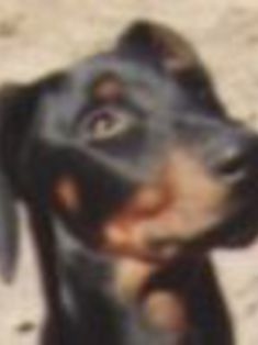 Avatar Bild für Bernd Schech