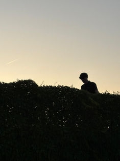 Avatar Bild