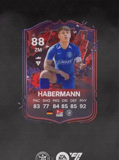Avatar Bild für Matteo Reiner Habermann