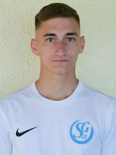 Avatar Bild für Dario Jozic'