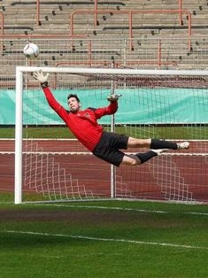 Avatar Bild