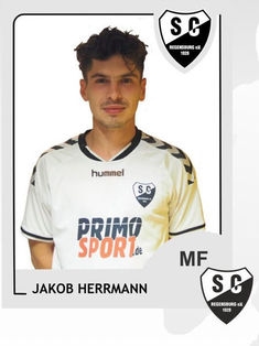 Avatar Bild für Jakob Herrmann