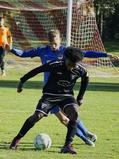 Avatar Bild für Ben Zenker