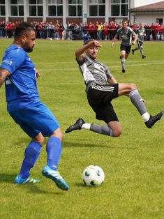 Avatar Bild
