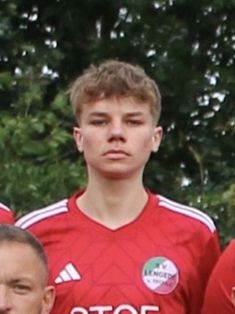 Avatar Bild für Henrik Amtti Werner