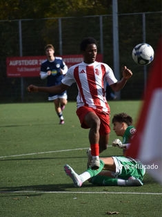 Avatar Bild für Mamadou Yero Balde